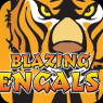 Blazing Bengals Indoor Firework